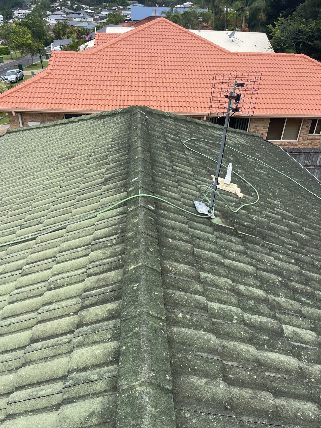 How To Remove Moss & Algae From Your Roof Water Attack