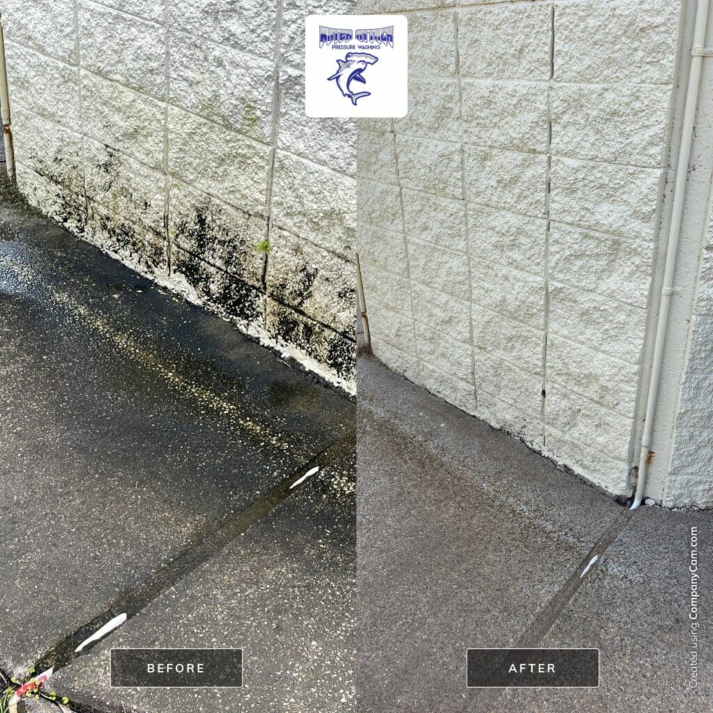 Top Areas Of Your Home That Need Pressure Washing - before and after of mould pressure wash