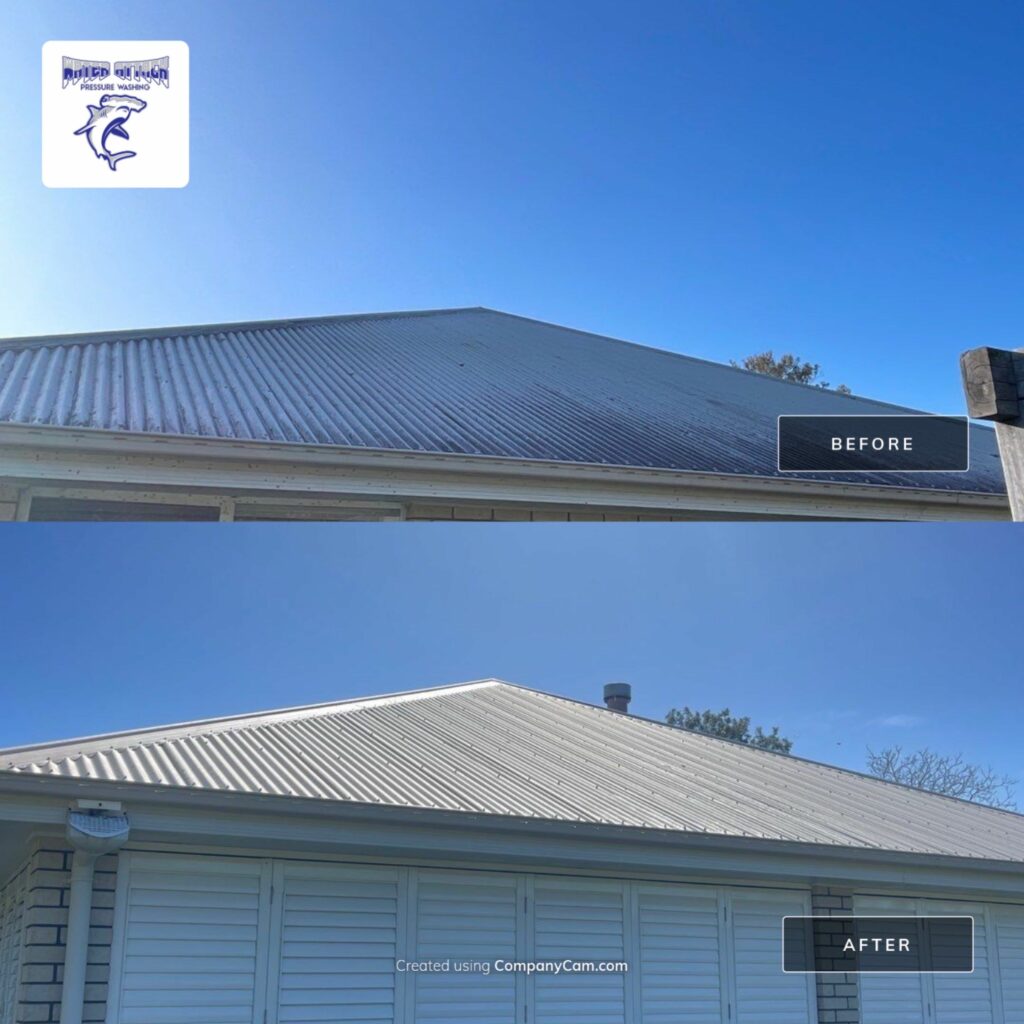 Pressure Clean Your Roof Before Painting - image of roof from below