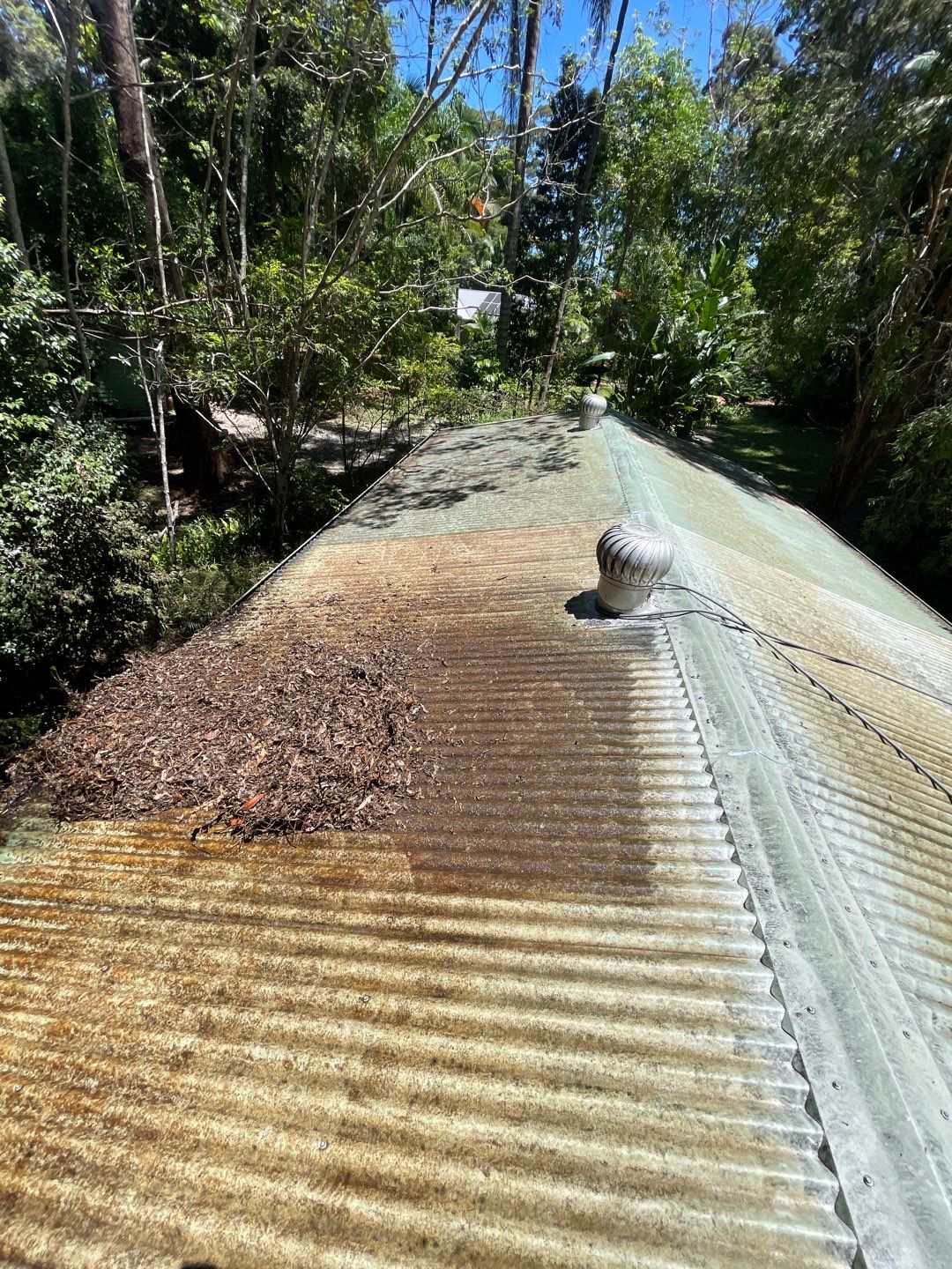 How To Remove Moss & Algae From Your Roof Water Attack