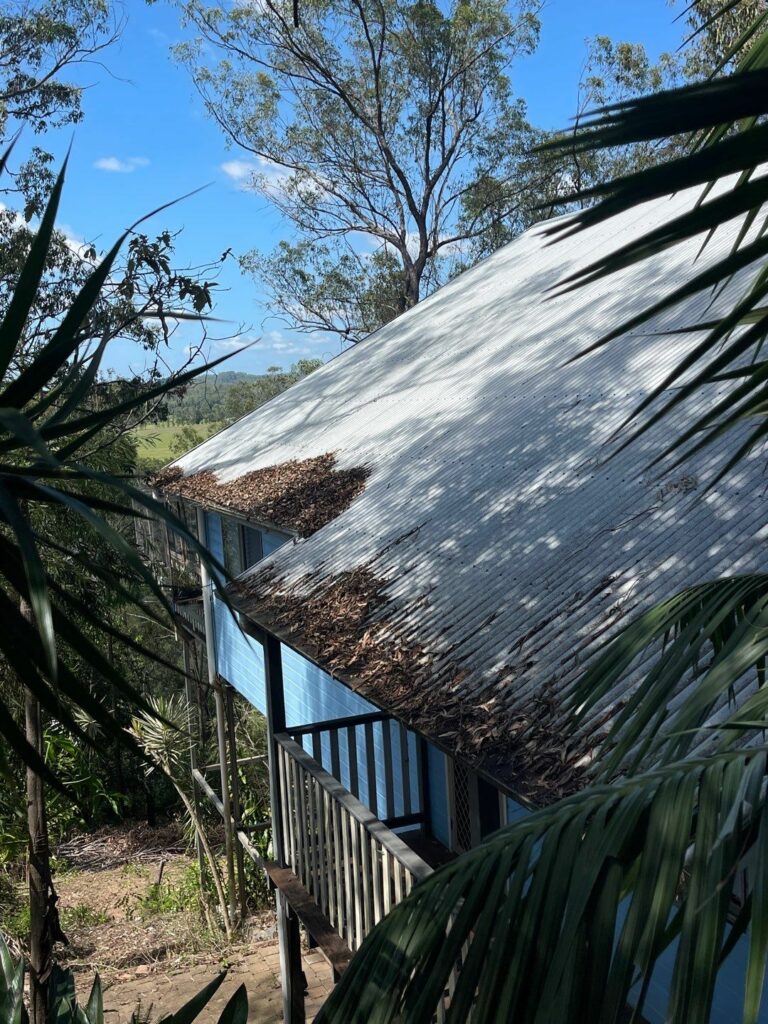 The Benefits Of Preventative Home Maintenancen - gutters filled with leaves