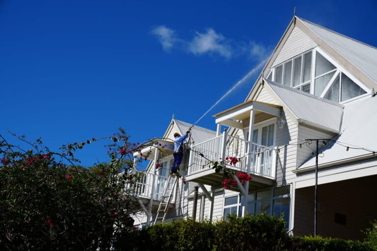 Roof cleaning services