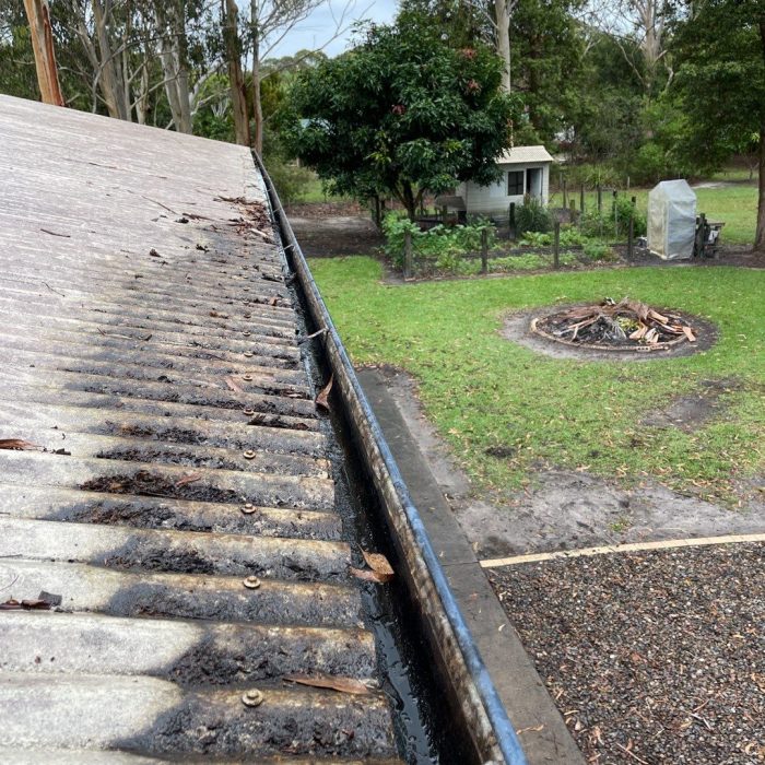 roof cleaning Sunshine Coast - dirty gutter