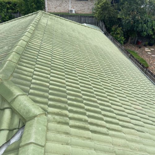 roof soft wash - drying green shingled roof