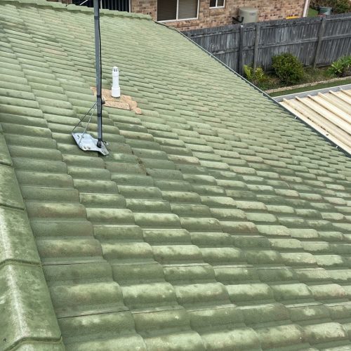 roof soft wash - green roof after