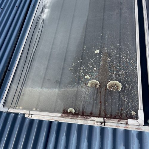 pressure cleaning Brisbane - dirty roof window