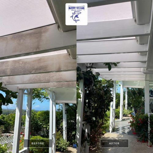 exterior soft washing - dirty roof comparison