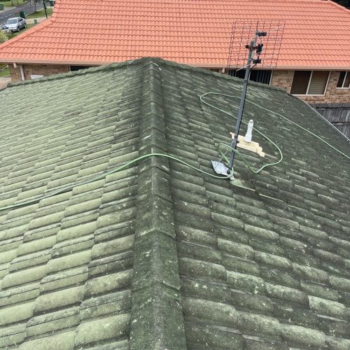 roof cleaning Brisbane - dirty green roof